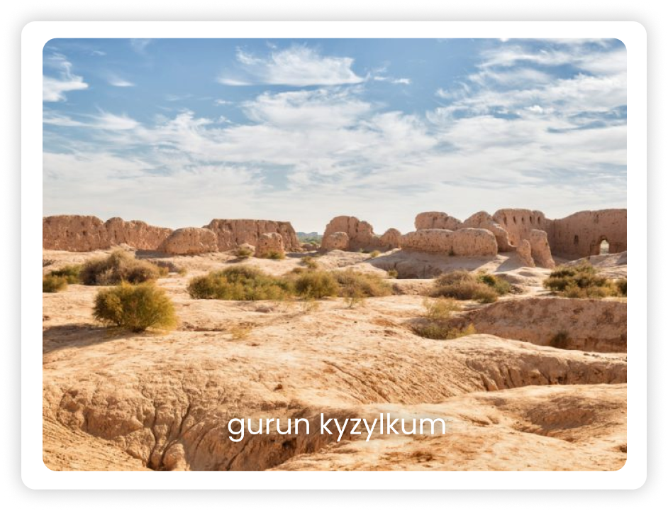 Gurun Kyzylkum